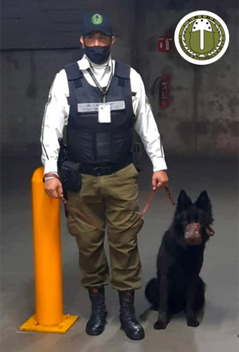 Uribe Seguridad fuerza canina